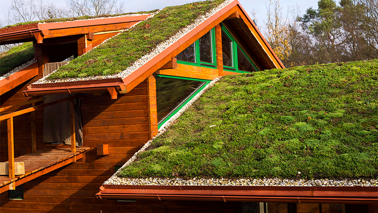 Cobertes verdes: aïllar casa teva pot començar per la teulada