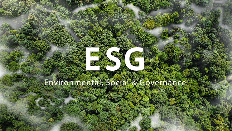 IBEX ESG: los índices para invertir de manera sostenible